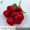 กุหลาบออทั่มมูน 7 หัว สีแดง GY