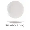 P10105