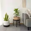 any color