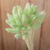 Couleur vert clair