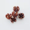 11 pistacchi marroni naturali 10 pezzi per confezione
