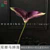 Double-petaled calla lily, deep purple