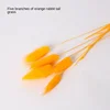 5 Orange Tail Grass [Send a Bundle of Flowers, Leaves and Hemp R