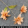 Brown Trident Lily Branch