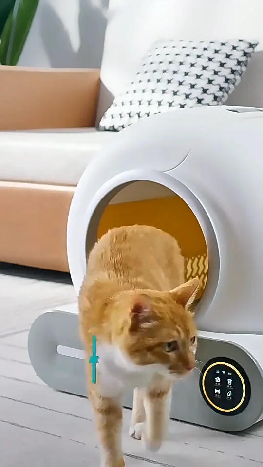 Tuya App Control New Design Selfcleaning Cat Automatic Litter Box For