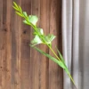 Green2