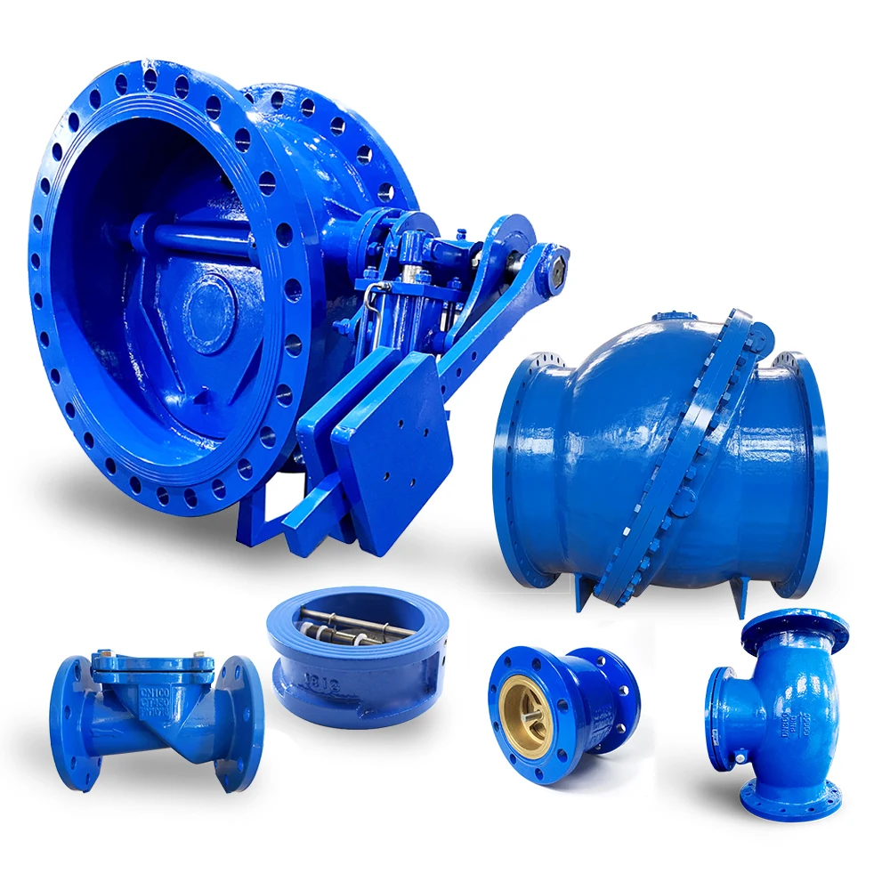 DN100 PN16 Cast Iron Rubber Flapper Type Manual Non Return Check Valve for Water ASIN Product