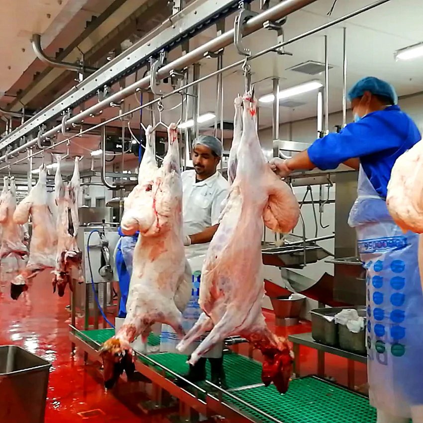 Factory price meat processing equipment slaughtering production line pig bone removal conveyor