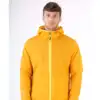 Saffron - Yellow