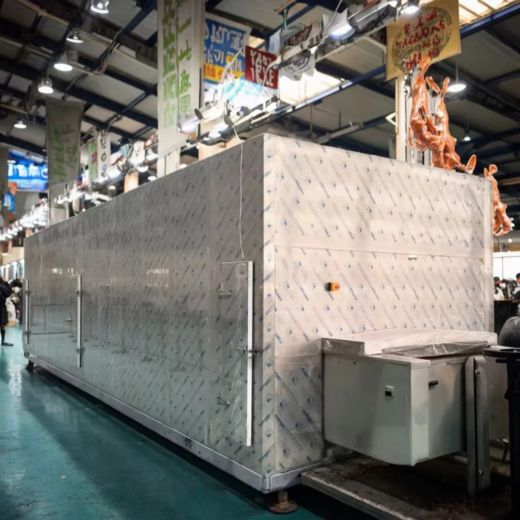 Advanced walk-in quick freezers and individual quick freezers for the food industry