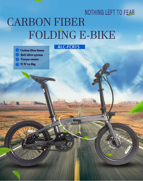 ANLOCHI 20 Inch Foldable Carbon Fiber Ebike Frame Folding E Bike 250w Dual  Battery Electric Bicycle for Adult