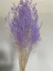 rosa chiaro viola