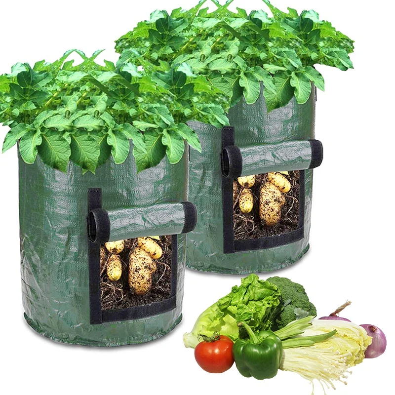jd pe bolsa