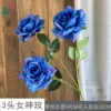 3-Headed Goddess Rose WY Blue