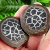 Brown Turtle Pattern Stone slab
