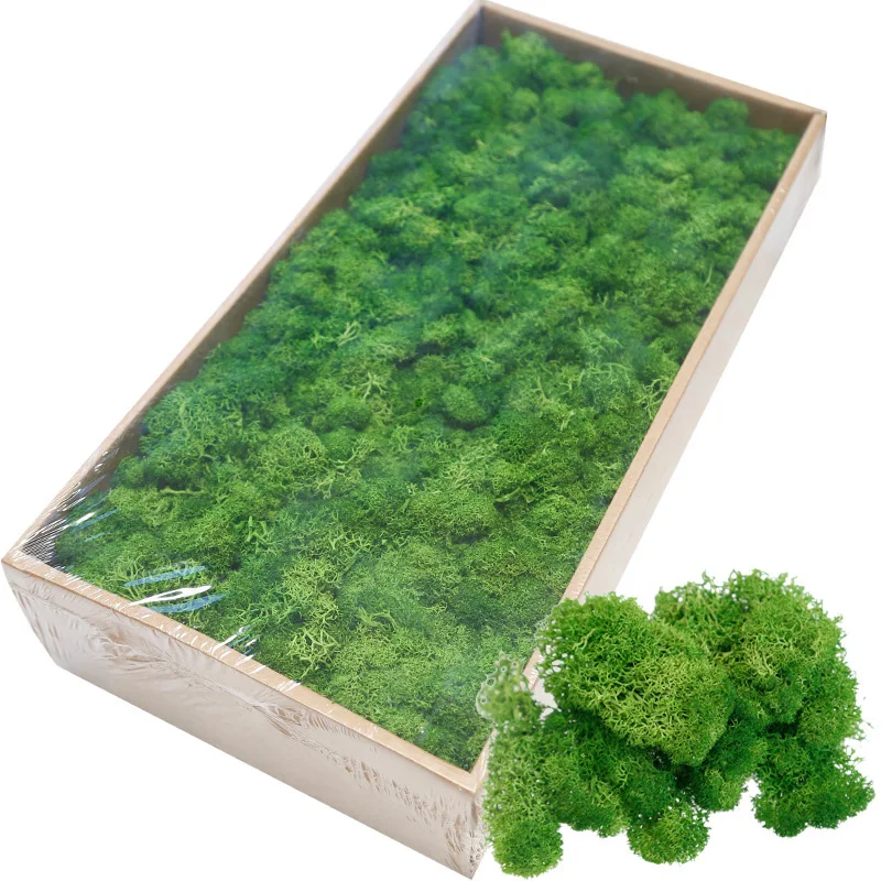 Wholesale Office Home Decorative Natural Green Preserved Moss for Wall Decoration