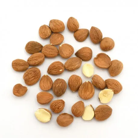 Edible Nuts Wholesale