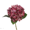 Rose Madder 14