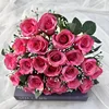 Rose red