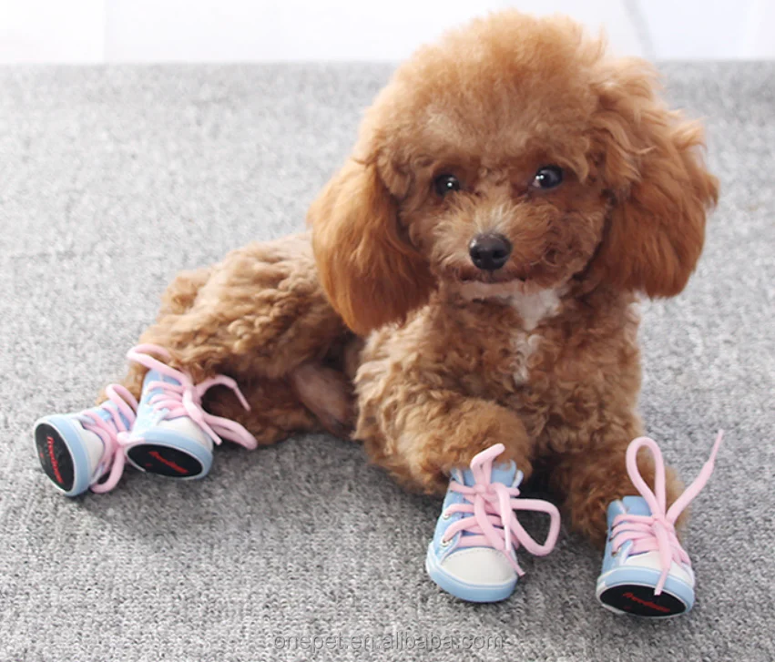 Converse Dog Shoes Pink 4PCS Set Canvas Dog Shoes Cute Non