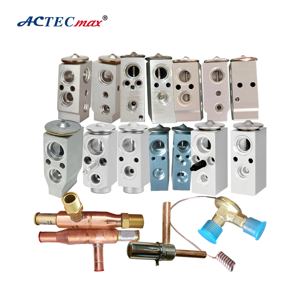 All Series Car Ac Parts Expansion Valve Auto Air Conditioner R134a Expansion Valve Oem Odm Ac