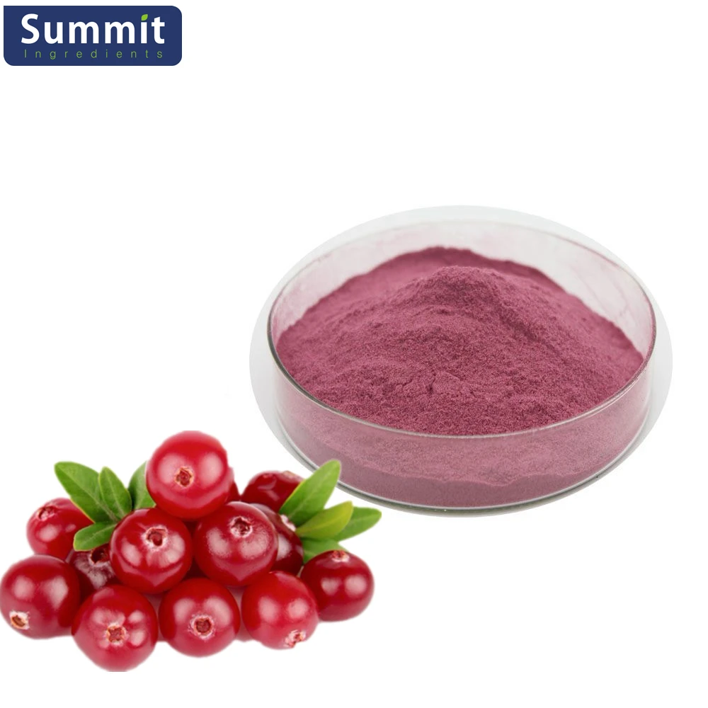 High Quality Bilberry Extract Anthocyanin Powder 36 Anthocyanosides