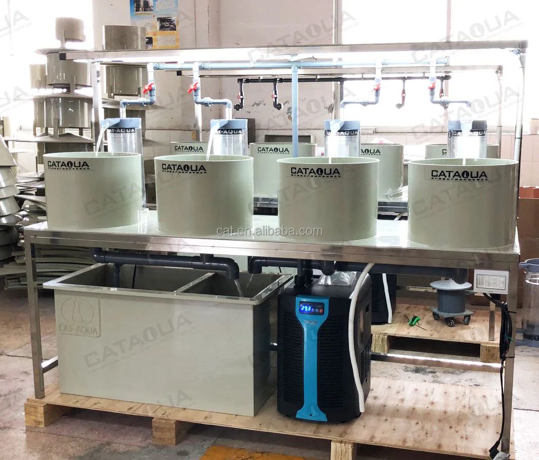 Cataqua Fish Farm Automatic Mini Hatchery Equipment Machine Aquaculture