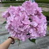 สีม่วงอ่อน