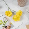 yellow branch
