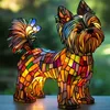 Yorkshire Terrier B