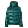 Menta