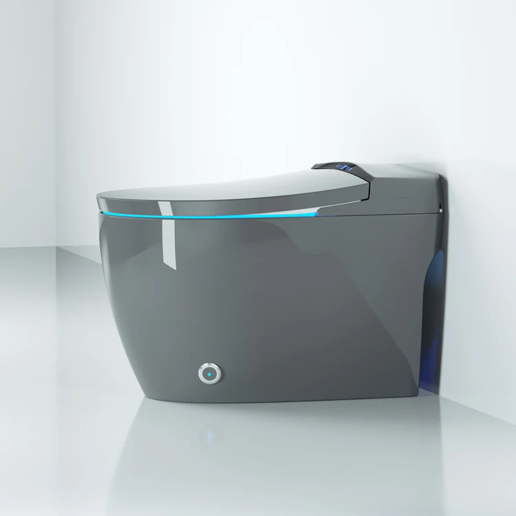 220v Japan One Piece Wc Self Cleaning Full Automatic Flush Sensor