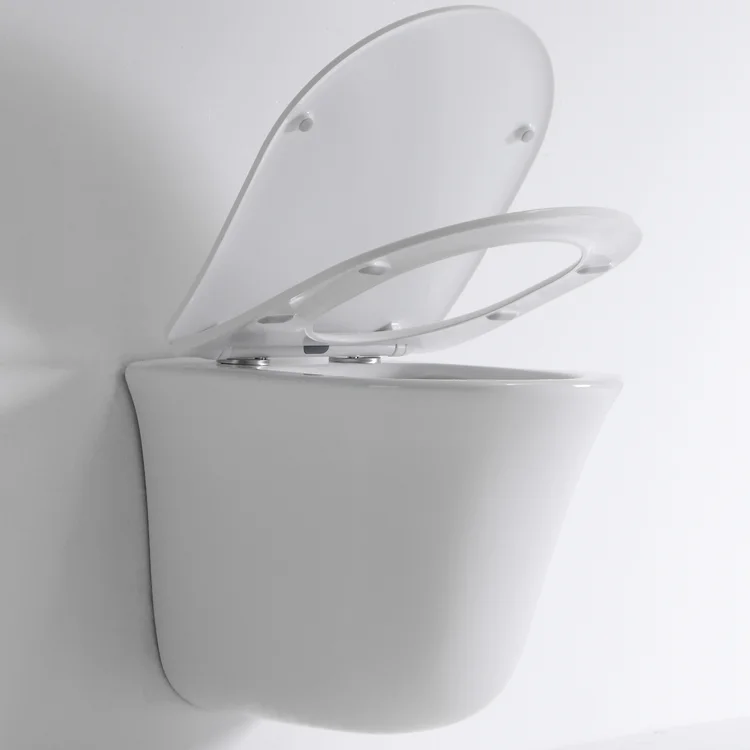 	Eco-efficient ceramic wall-hung restroom fixture