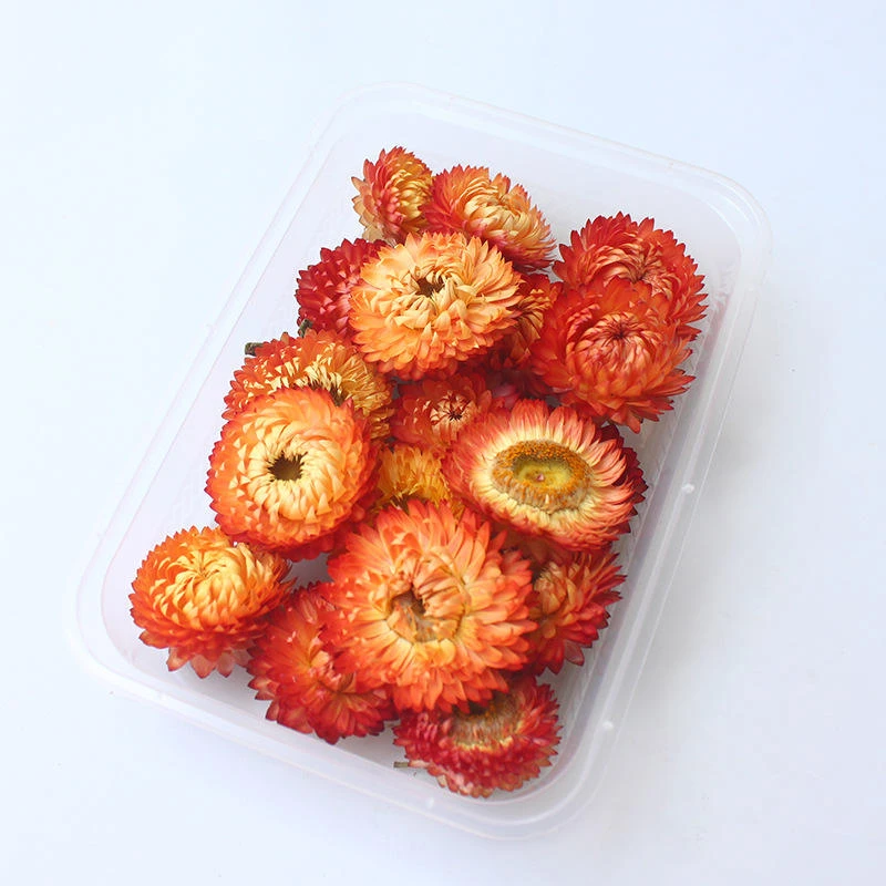 Dried Chrysanthemum - Wholesale Bulk & Private Label Hd87306d5bac14126bb4cdf6238e99ba10