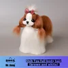 Pelo de cuerpo entero de Shih Tzu marrón y blanco.