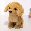 Golden retriever accroupi 22cm
