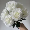 #1 white