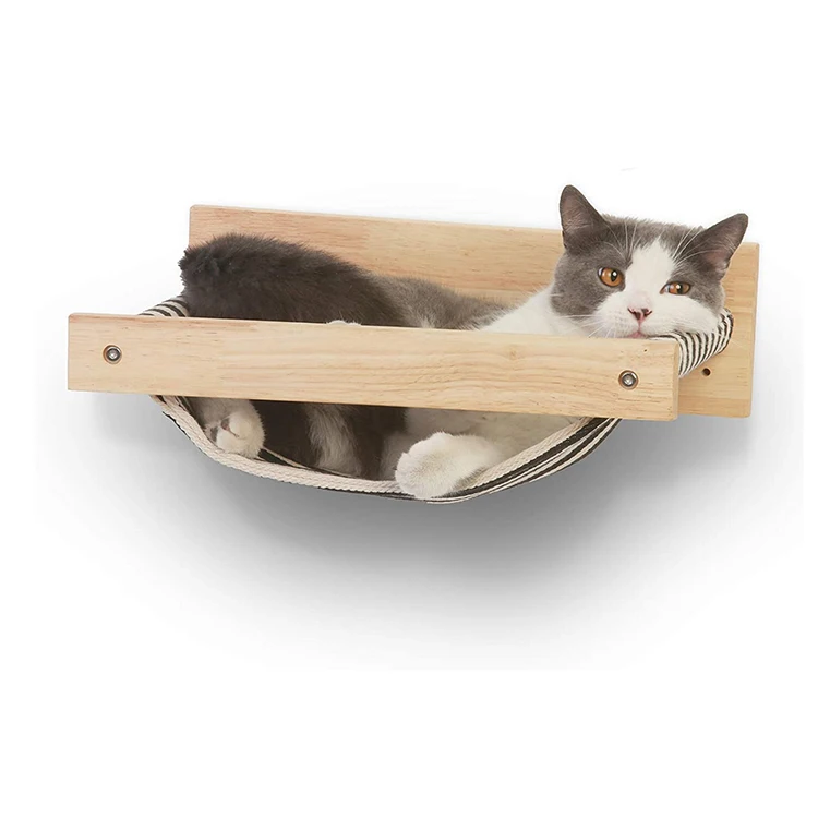 Window bubble outlet pod cat house