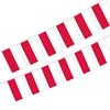string flag