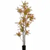 New nantianzhu red-200cm