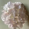 Single hydrangea in light pink