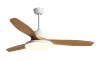 White Wood Grain