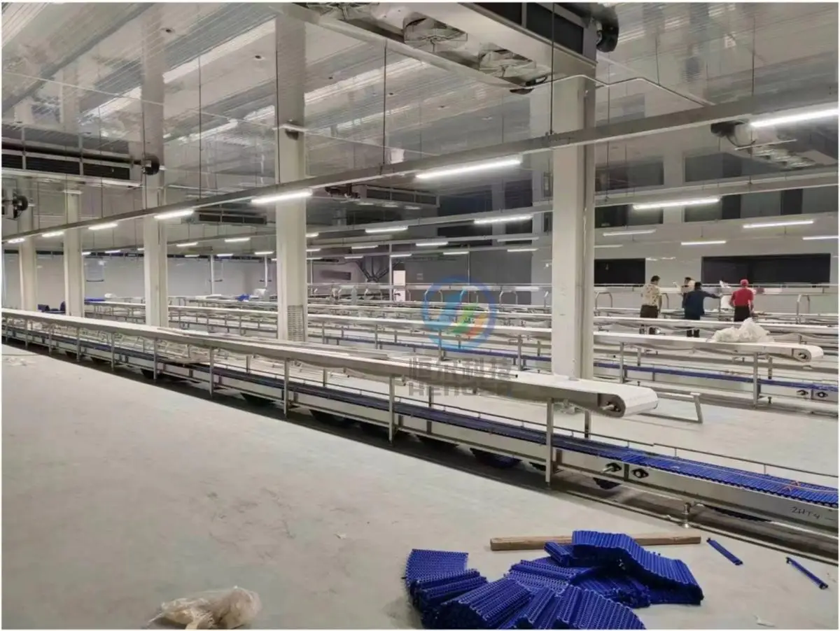 Slaughterhouse Workshop Meat Deboning Line with Crate Washer Machine ...