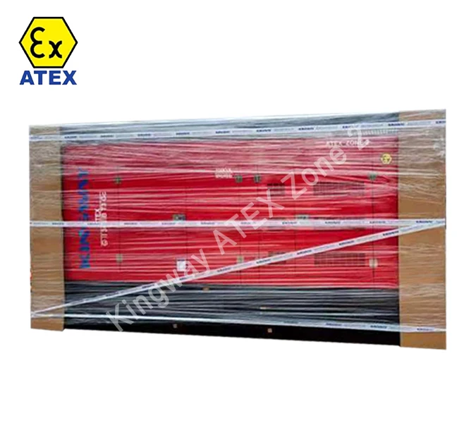 Rigsafe Generator ATEX CE DNV Explosion Proof Generator Zone 1 2 300KVA 10KV Three Phase With Stainless Steel Enclosure Case