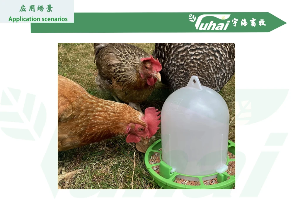 1.5kg Green Automatic Chicken Duck & Quail Feeder PP Material Chick & Animal Feeders Farm Use factory