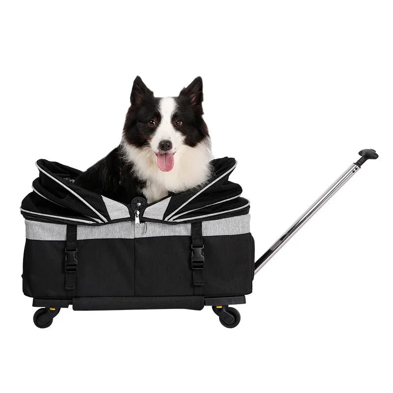 dog trolley