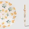 chrysanthemum
