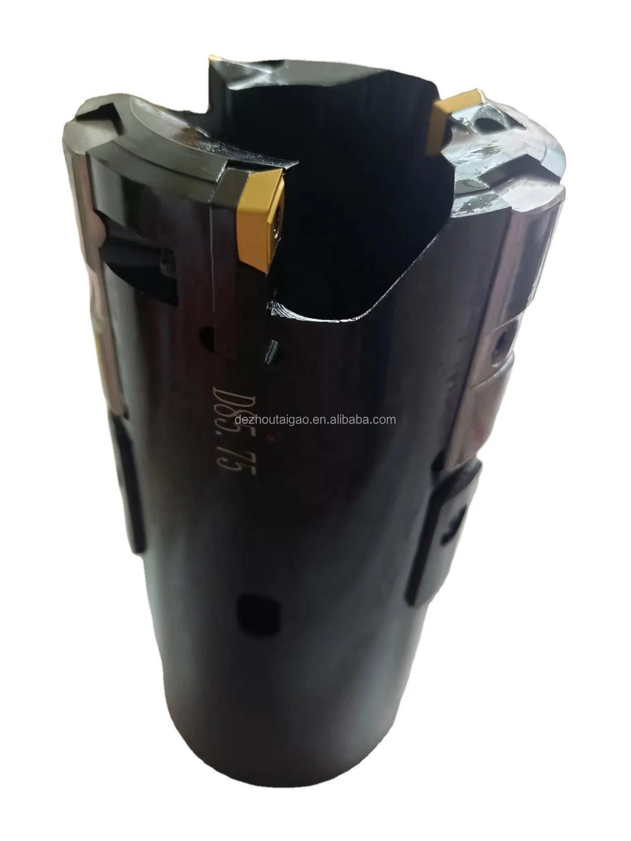 High Quality Trepanning Tools Deep Hole Drill Head With Inserts and Guide Pads