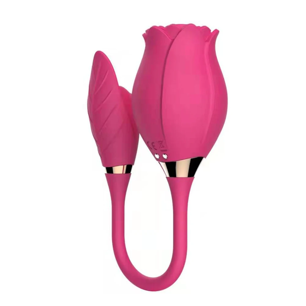 Niusida New Product 2 in 1 Sex Toys for Women Vibrator Female Clitoris Breast Massager Vibrator Rose Long Rose Vibrator