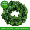 Green Grape Leaves